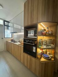 Tanglin Park (D10), Condominium #563956201